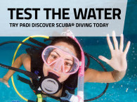 PADI Discover Scuba Diving Course in Eilat