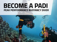 PADI Peak Performance Buoyancy course in EIlat