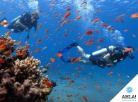 Secrets of saving air – secrets for beginner diver!