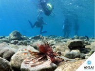 Ahla diving – professional hobby or extraordinary activity in Israel