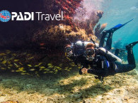 Sign up for a PADI Discover Scuba Diving experience