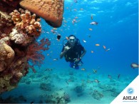 Diving – important safety measures