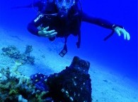 diving service_שירות צלילה באילת_лучший дайвинг в Эйлате