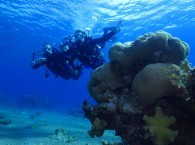 scuba diving courses red sea