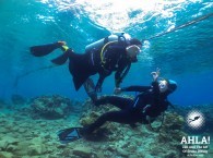 scuba diving courses for everyone in eilat israel