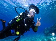 scuba diving for beginners in eilat red sea
