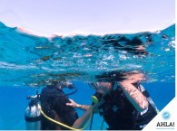 отрабатывание упражения Дыхание с напарником на курсе Open Water Diver
