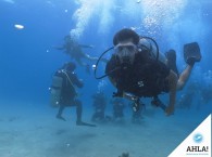 курс Open Water Diver в Эйлате