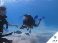  курс обучения дайвингу_course of learn diving   Используется в ссылках на фотографию, заголовках.