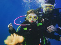 diving with kids.jpg