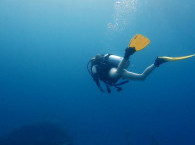 eilat scuba diving.jpg