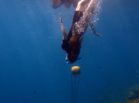 scuba diving course eilat.jpg