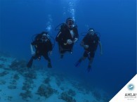 качественный дайвинг в Израиле_professional diving in Israel
