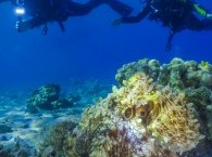 Diving site in Eilat Three Sisters