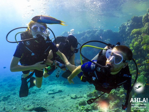 scuba diving in eilat