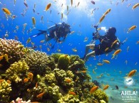 cheap diving holidays in eilat