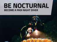 PADI Night Diver Specialty in Eilat