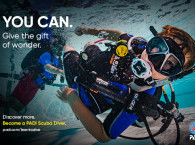 PADI Scuba Diver Course in Eilat