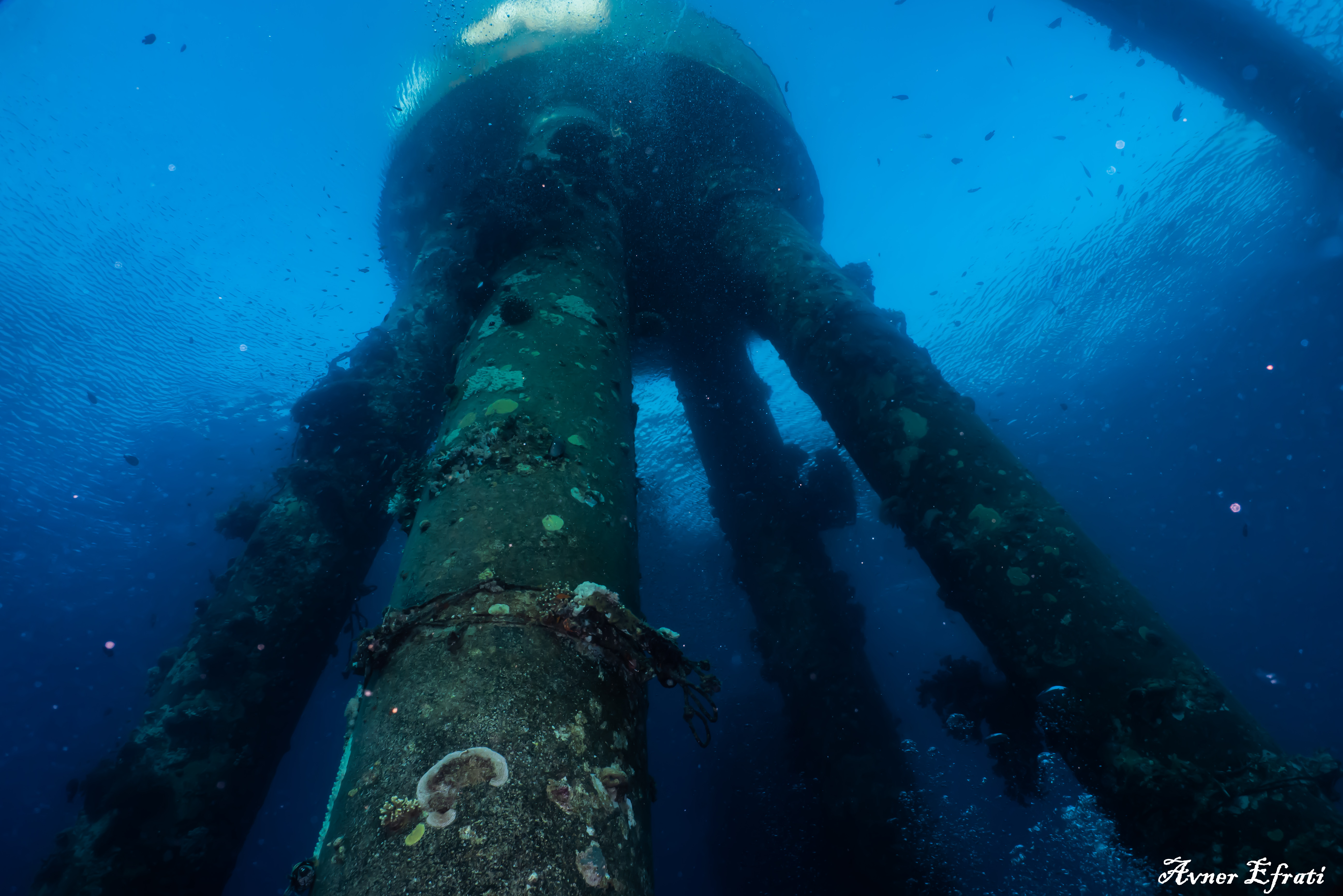 dive site katza in Eilat_אתר צלילה באילת_дайв-сайт Катца в Эйлате