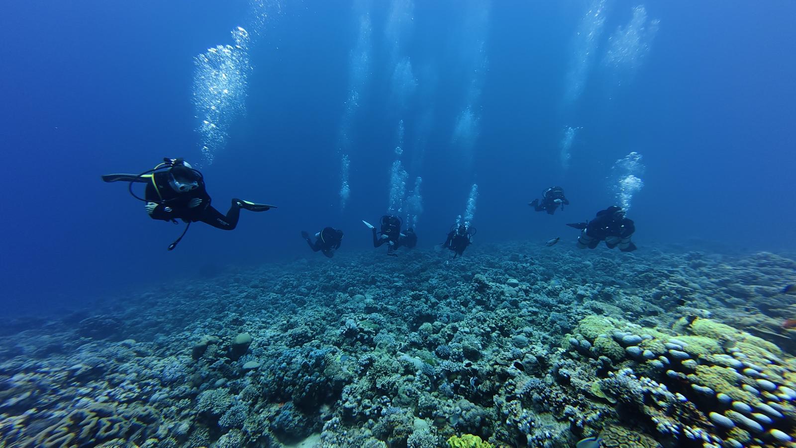 Technical Diving Jordan Technical Diving Aquaba