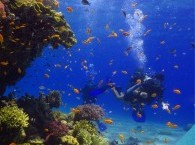Master your skill of buoyancy