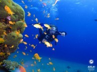 PADI Adventures program