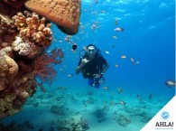 Diving – important safety measures