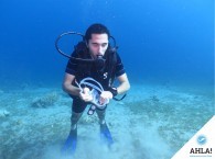 дайвинг для новичков_diving for beginners