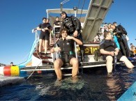 Diving – a popular water sport on the seacoast of Eilat