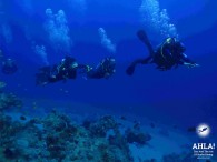 Discover the incredible underwater world with multilevel diving from “Ahla Diving Center”