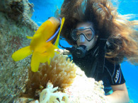 introduction scuba diving