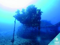 diving in the red sea_צלילה PADI_дайвинг PADI