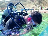 beginning scuba diving_צלילה החל_дайвинг для начинающих