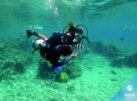 cuba diving beginners_למתחילים צלילה_дайвинг информация для новичков