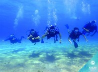 scuba diving buoyancy_ציפת צלילה_идеальная плавучесть в дайвинге