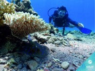 scuba diving introduction_מבוא צלילה_ознакомление со скубо дайвингом в Эйлате