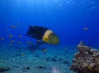 red sea best places