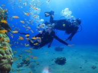 red sea scuba