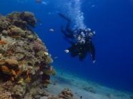 scuba diving introductory dive