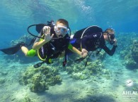 cheap diving holidays_дешевые дайвинг выходные_חגי צלילה זולים