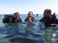 scuba diving in the red sea_скуба дайвинг в красном море_צלילה בים האדום