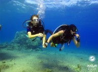 world of diving_мир дайвинга_עולם של צלילה