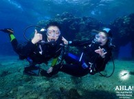 scuba diving in eilat for beginners