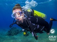 scuba diving tours in eilat