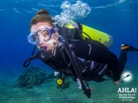 scuba diving tours in eilat