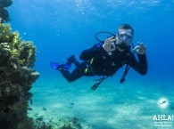cheap diving holidays
