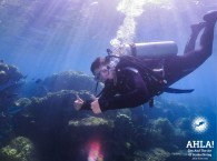 scuba diving holidays in red sea