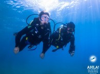 underwater photo in eilat