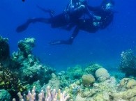 scuba diving eilat red sea israel