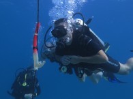 Buoyancy курс OPEN WATER 